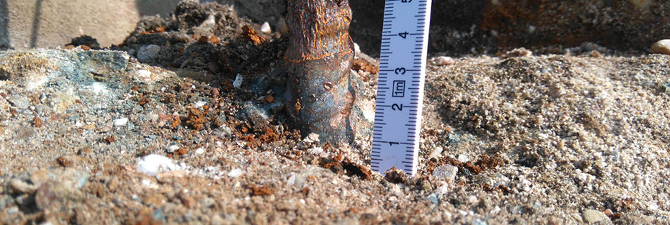 Jules Van Leth, Soll Ist, Betonsanierungsberatung und Begleitung, Krefeld